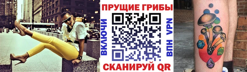 где купить наркоту  Уфа  Псилоцибиновые грибы Cubensis 